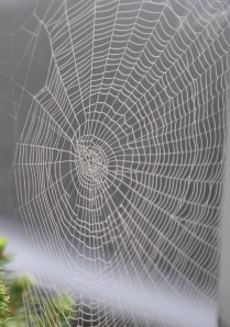 super-spider-web Photo Credit - thehomespun
